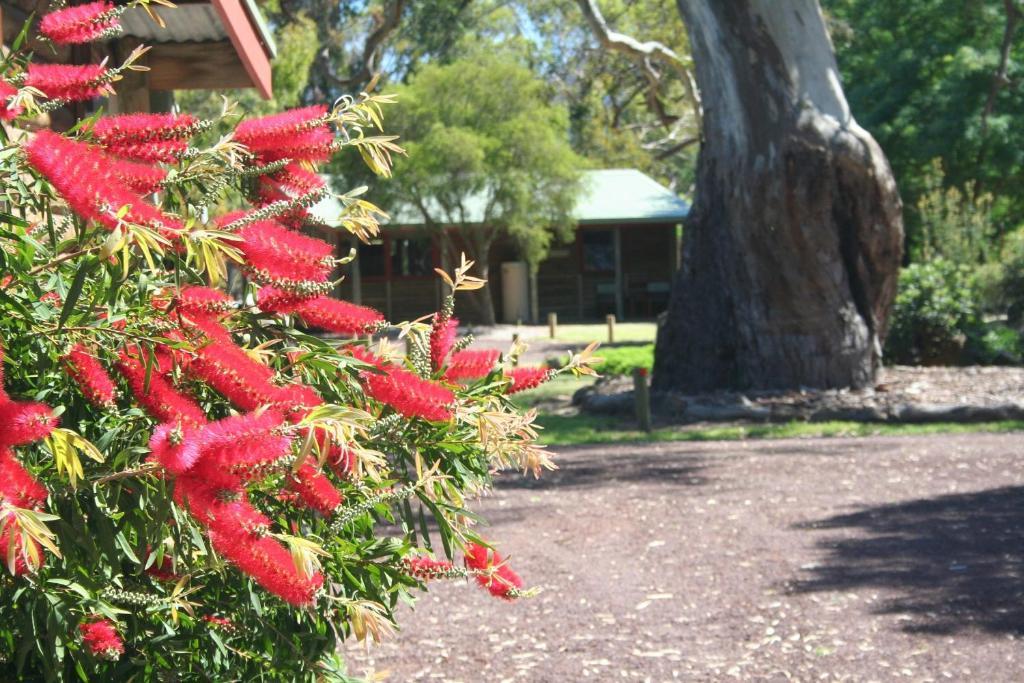 Southern Grampians Cottages 던켈드 외부 사진