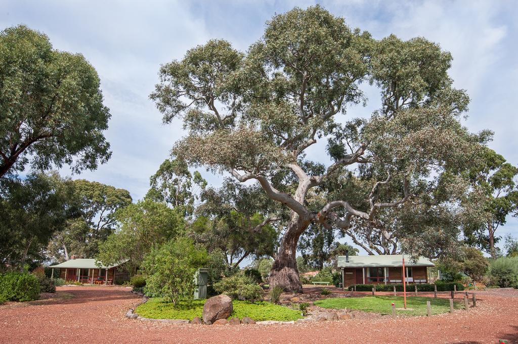 Southern Grampians Cottages 던켈드 외부 사진